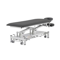 Table électrique Pehr Coinfycare : deux sections, réglage motorisé de la hauteur et dossier réglable pour l'esthétique et la physiothérapie professionnelles Table électrique Pehr Coinfycare : deux sections, réglage motorisé de la hauteur et dossier réglable pour l'esthétique et la physiothérapie professionnelles