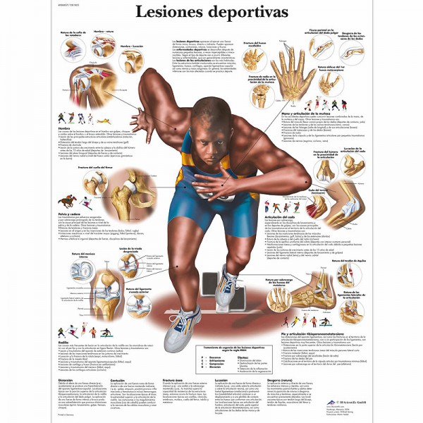Tableau d'anatomie : Blessures sportives