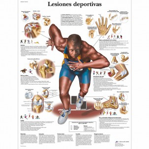 Fiche d'anatomie : Blessures sportives