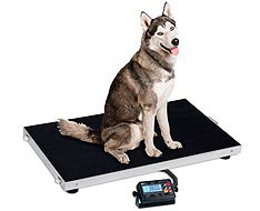 Échelles vétérinaires Échelles vétérinaires