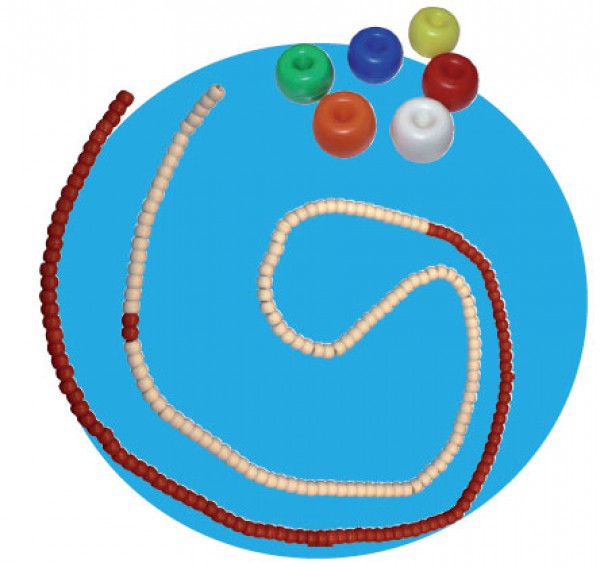 Corde de couloir aquatique Roma (Donut) avec corde et mousqueton (25 mètres) Corde de couloir aquatique Roma (Donut) avec corde et mousqueton (25 mètres)