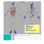 Ostéodiagnostic : Logiciel destiné aux Ostéopathes et Kinésithérapeutes Ostéodiagnostic : Logiciel destiné aux Ostéopathes et Kinésithérapeutes