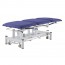 Table électrique Brom Coinfycare : trois sections, hauteur réglable, dossier réglable et conception ergonomique pour l'esthétique et la physiothérapie Table électrique Brom Coinfycare : trois sections, hauteur réglable, dossier réglable et conception ergonomique pour l'esthétique et la physiothérapie