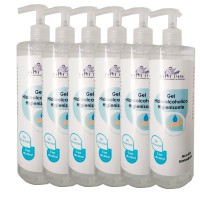 Boîte de 6 unités de Gel hydroalcoolique assainissant Kinefis RAER 500 ml