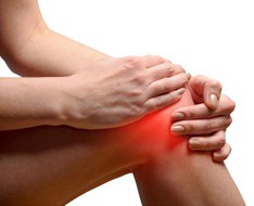 Santé articulaire et osseuse Santé articulaire et osseuse