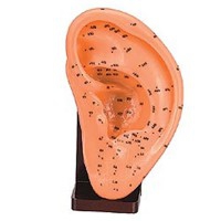 Oreille gauche en caoutchouc souple 17 cm Oreille gauche en caoutchouc souple 17 cm
