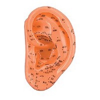 Oreille gauche en caoutchouc souple 13 cm Oreille gauche en caoutchouc souple 13 cm
