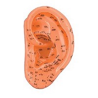 Oreille gauche en caoutchouc souple 13 cm