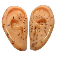 Oreilles en caoutchouc souple 8cm (Paire) Oreilles en caoutchouc souple 8cm (Paire)