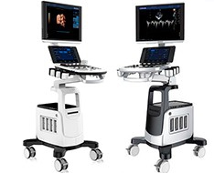 Échographie Échographie