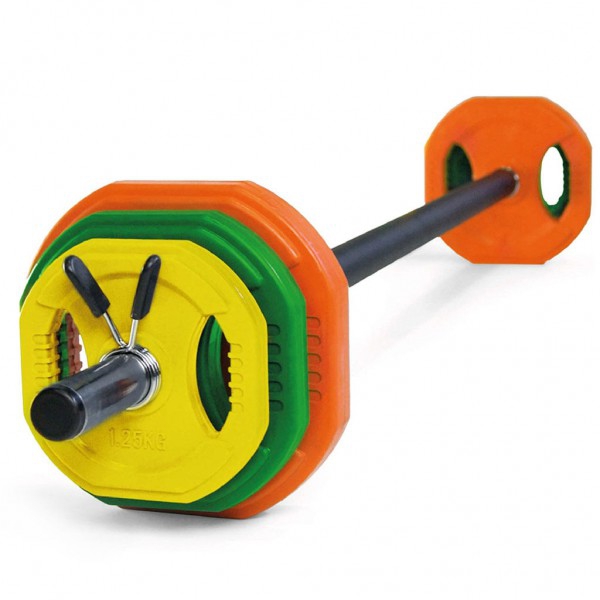 Ensemble complet de pompe corps 17,5Kgs : Barre + disques + colliers de serrage Ensemble complet de pompe corps 17,5Kgs : Barre + disques + colliers de serrage